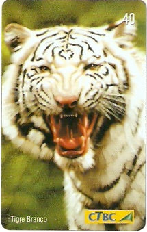 CTBC-T-0756 - Felinos - 2/5